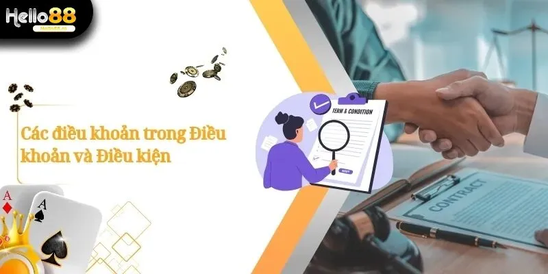 Điều Khoản Và Điều Kiện